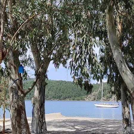 Esin's Houses Marmaris